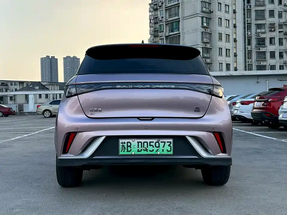 BYD dolphin
