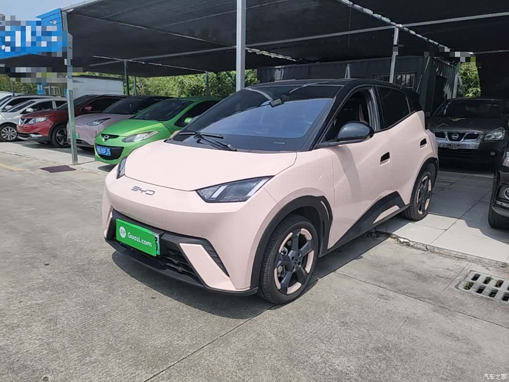 BYD Seagull, 2023 1