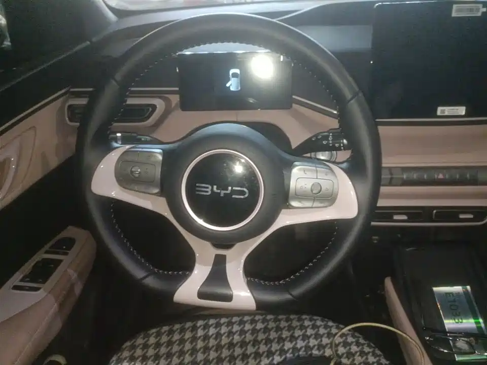 BYD Seagull