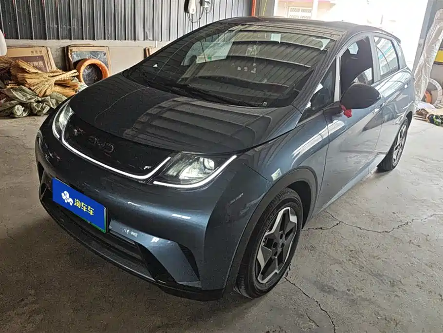 BYD dolphin