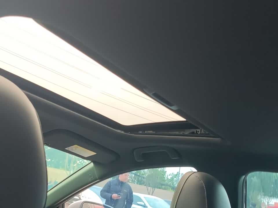 Trumpchi Shadow Leopard