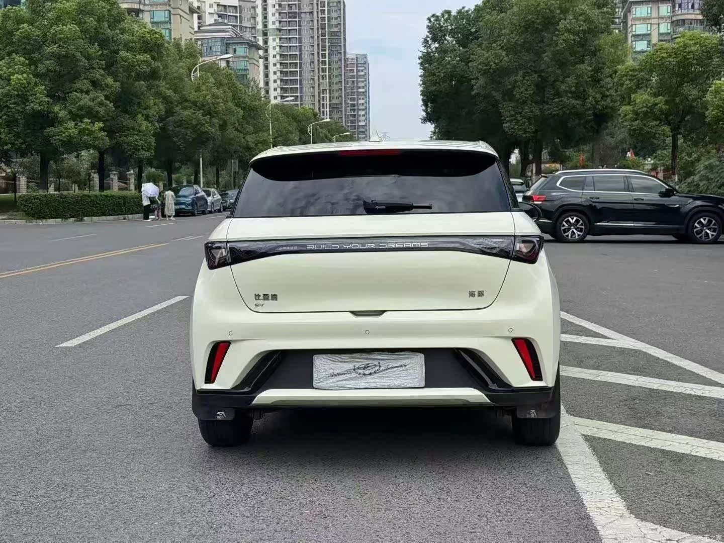 BYD Dolphin, 2024 4