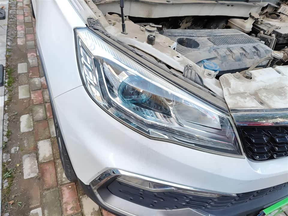 Leopaard Cheetah CS9