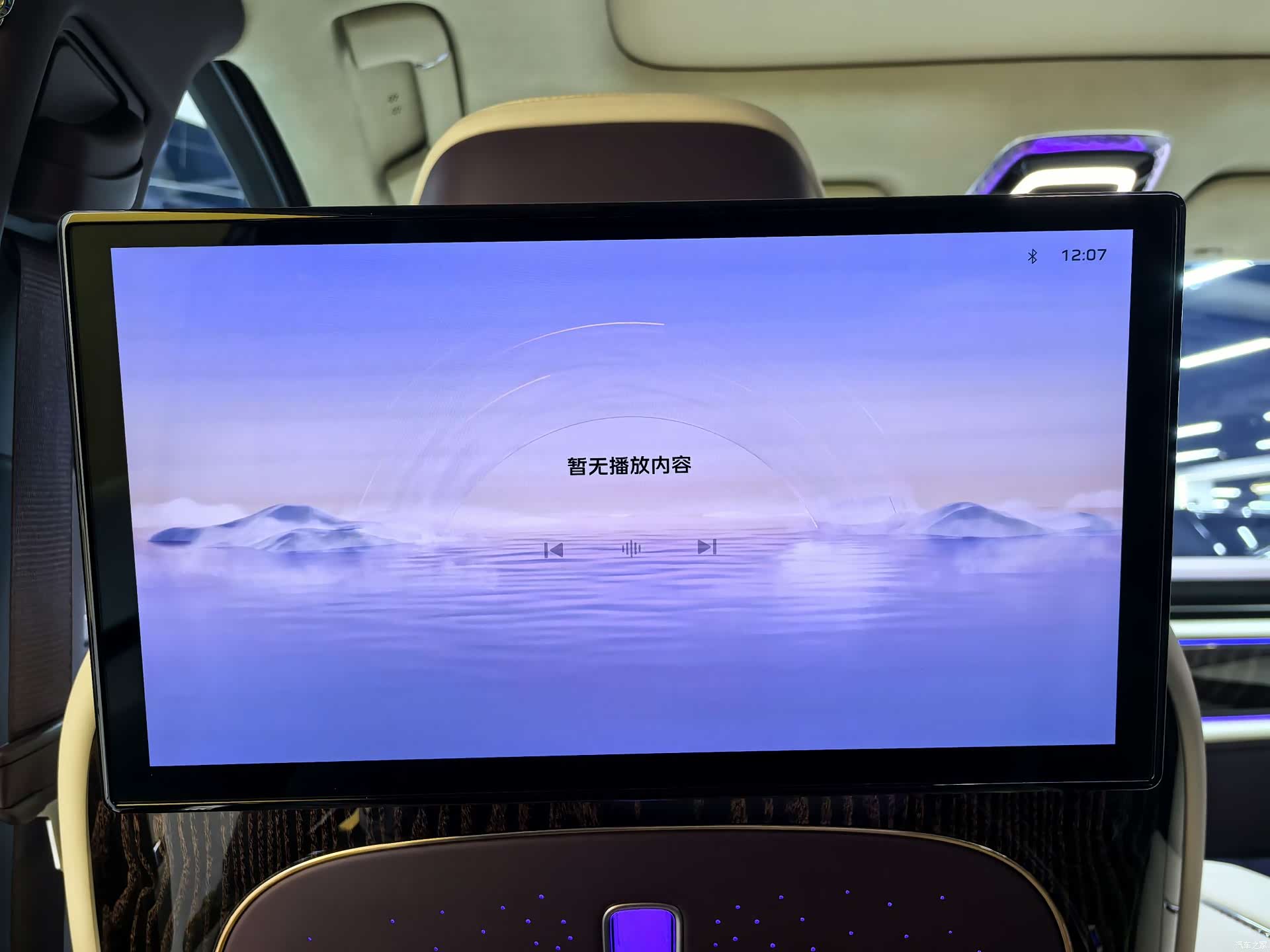 Hongqi Guoya, 2024 21