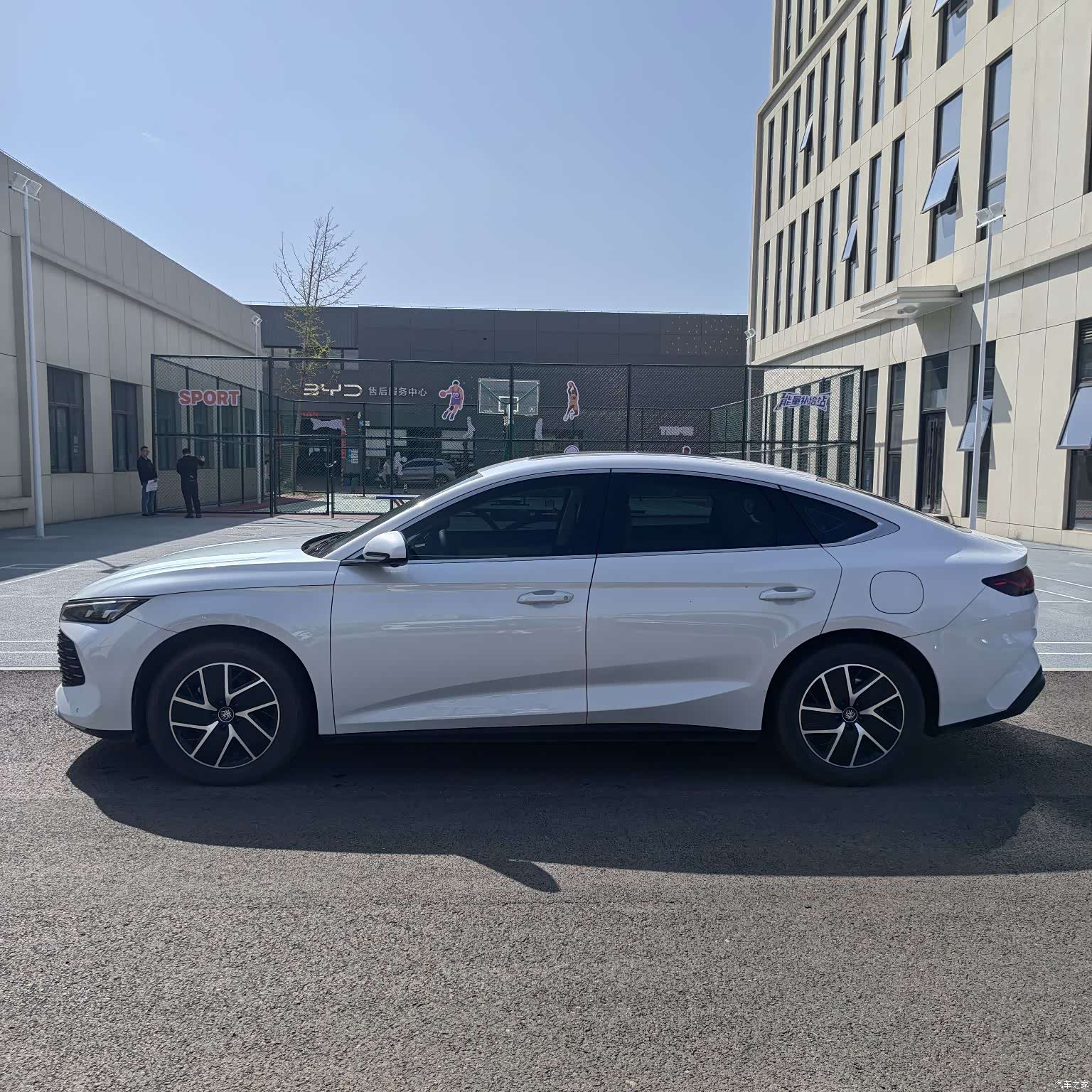 BYD Qin, 2024 все фото