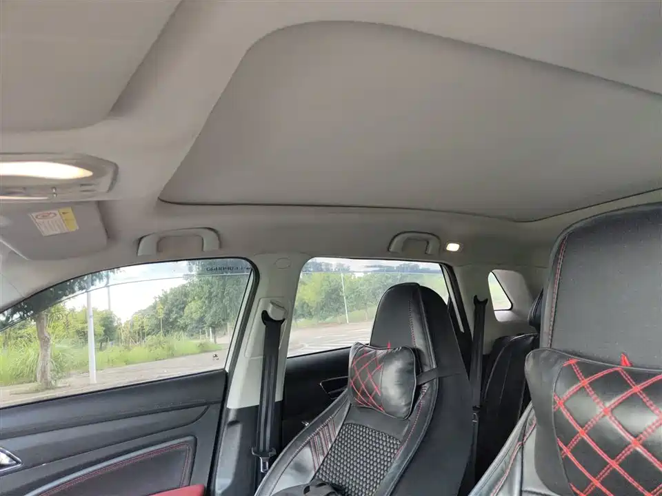 Leopaard Cheetah CS9