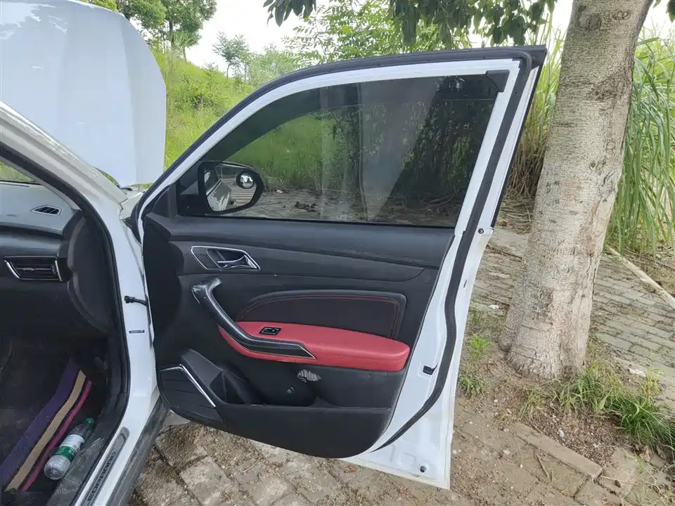 Leopaard Cheetah CS9