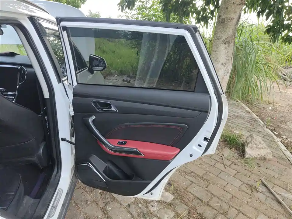 Leopaard Cheetah CS9