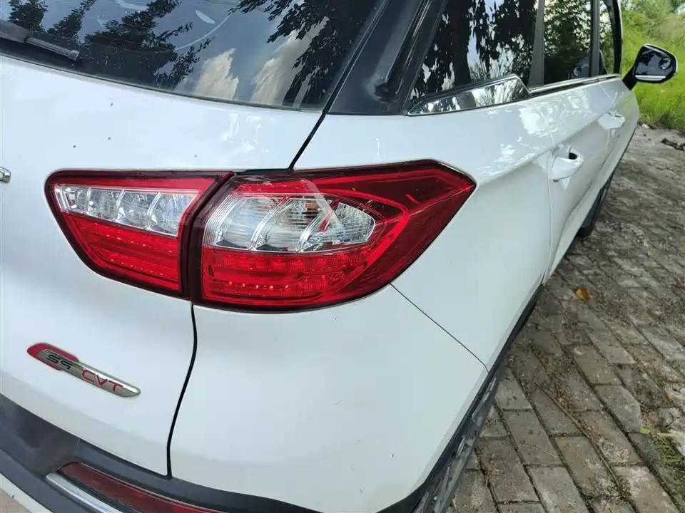 Leopaard Cheetah CS9