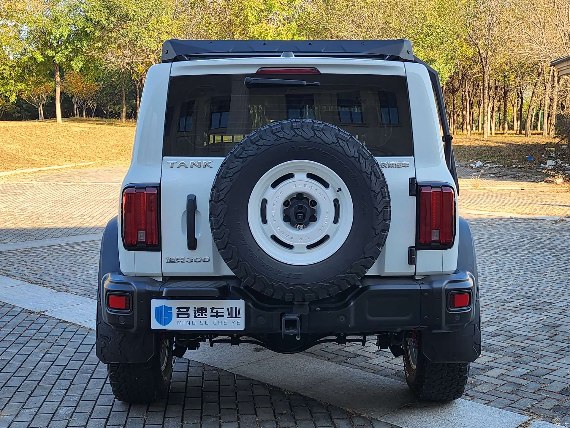 Tank 300, 2023 13