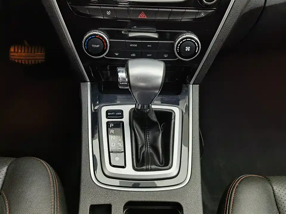 Leopaard Cheetah CS10