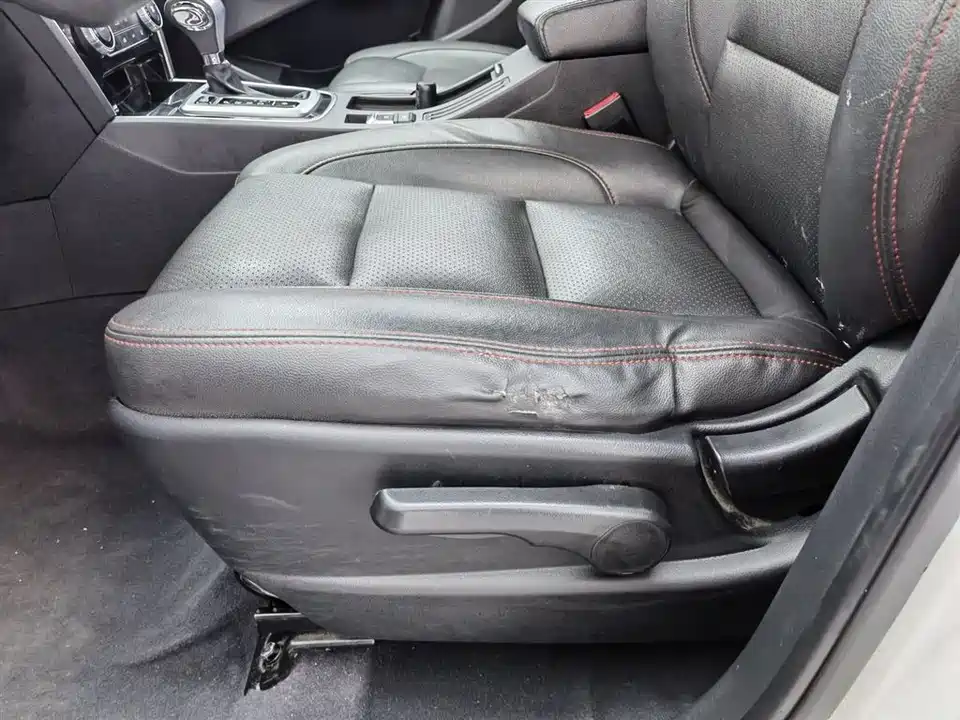 Leopaard Cheetah CS10