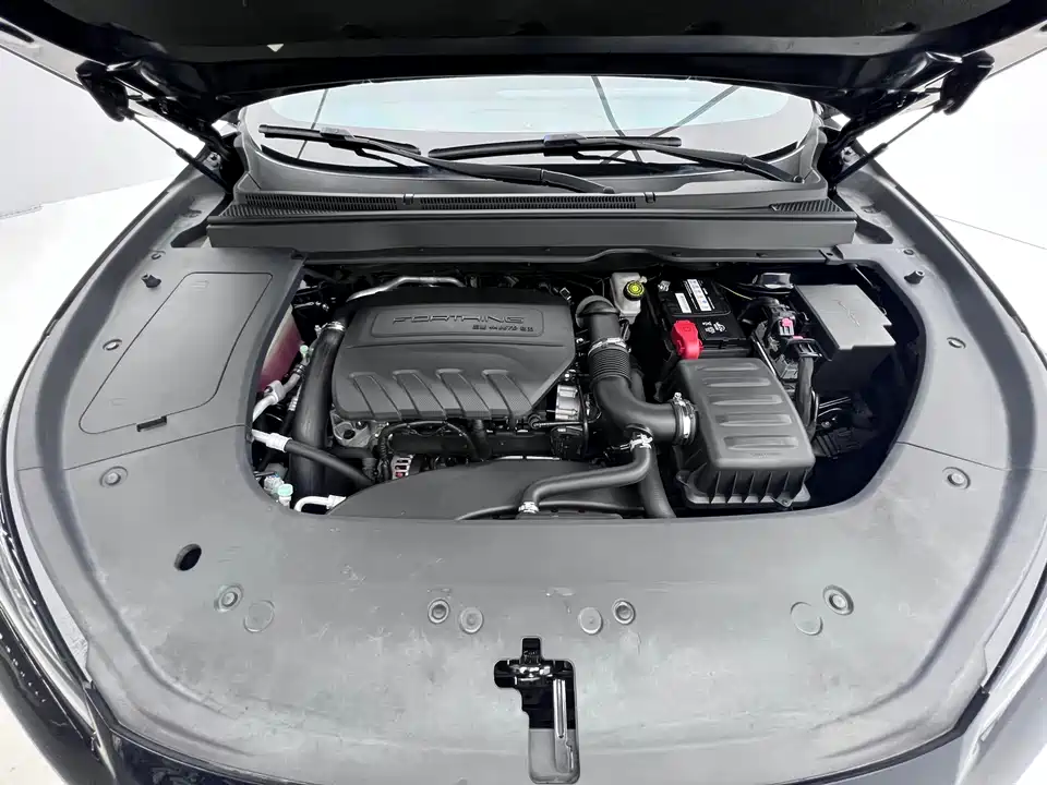 Forthing Popular T5 EVO