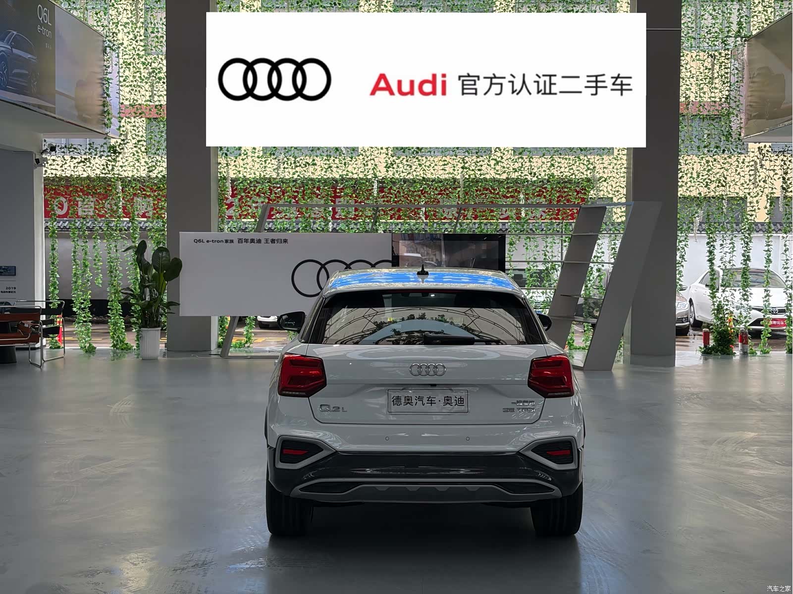 Audi Q2L, 2024 все фото