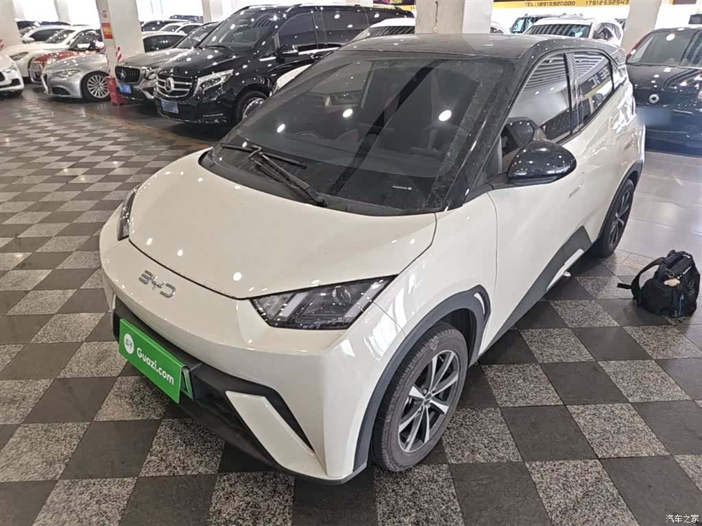 BYD Seagull, 2024 1