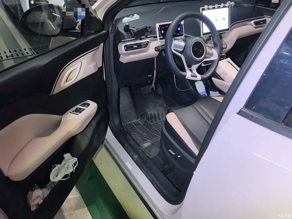 BYD Seagull, 2024 12