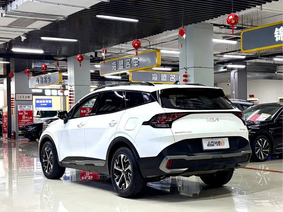 Kia Lion Platinum expands the world