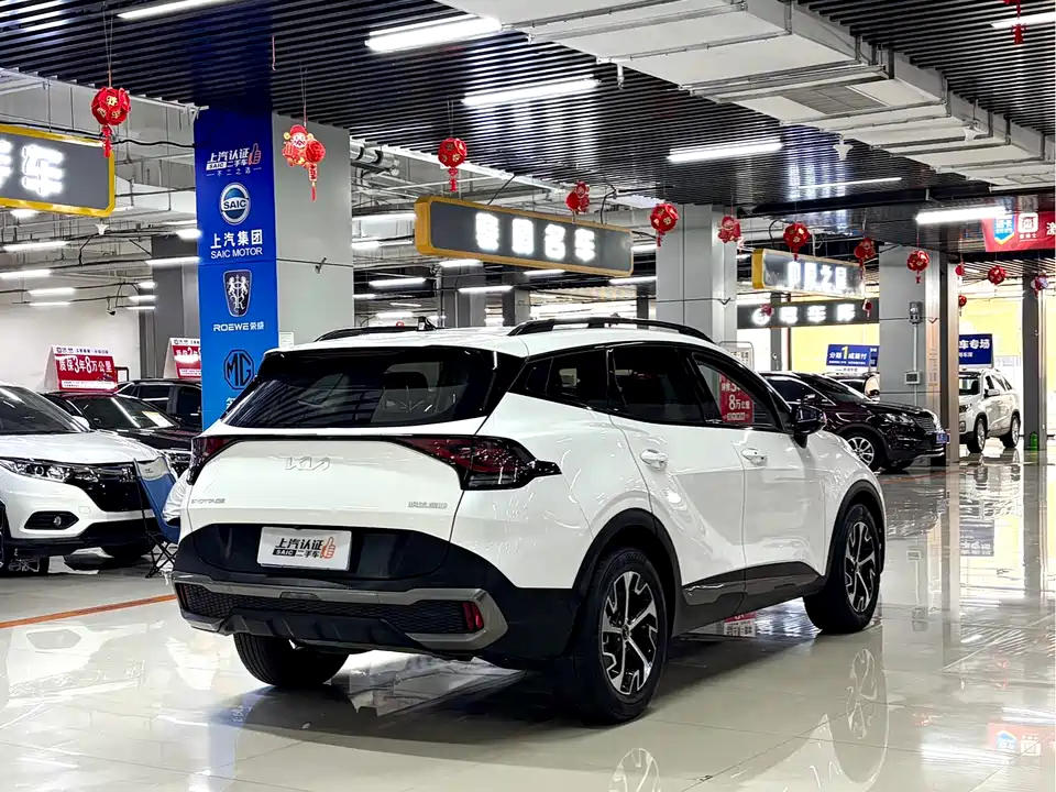 Kia Lion Platinum expands the world