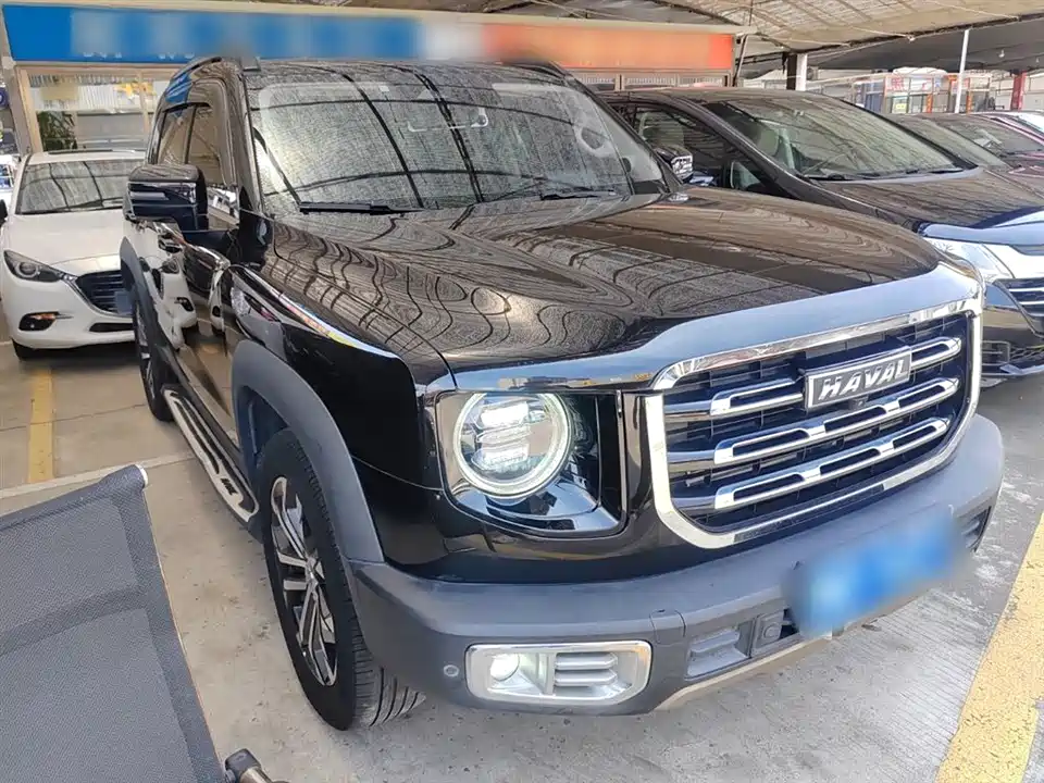 Haval Big dog