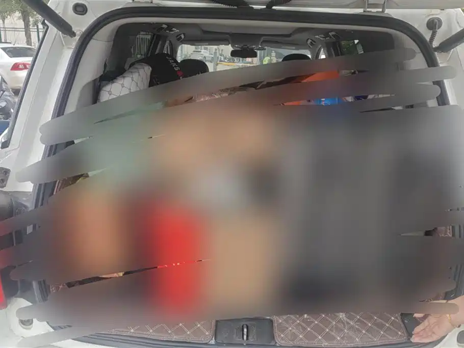 Trumpchi Trumpchi GS8