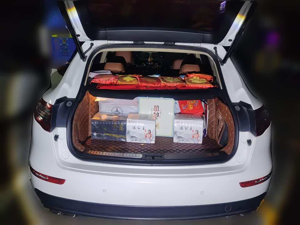 Zotye SR9