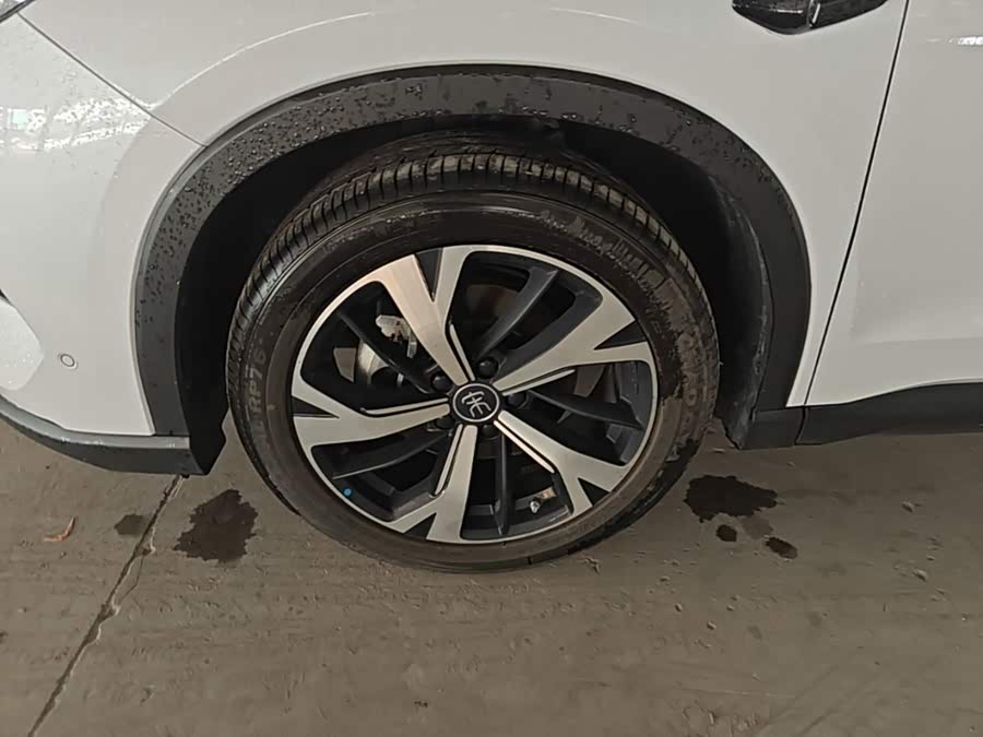BYD Song Pro New Energy 2025, фото 23