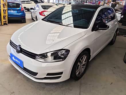 �½����ָ߶��� 2017�� 230TSI �Զ����ʰ����������