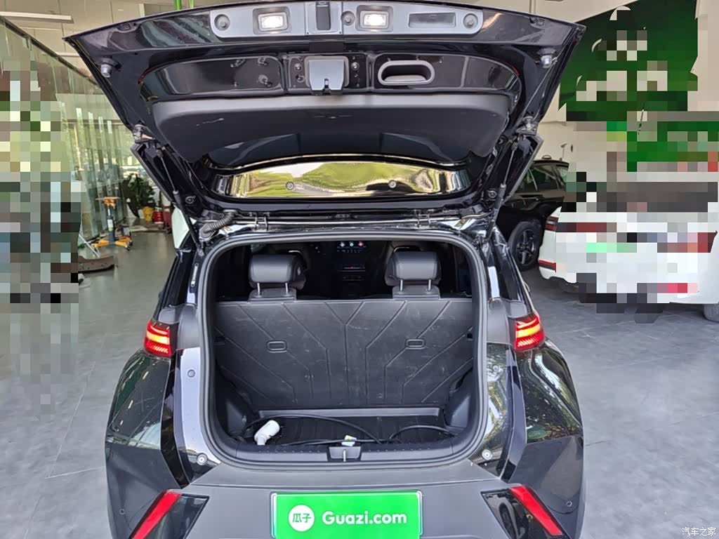 BYD Seagull, 2023 19