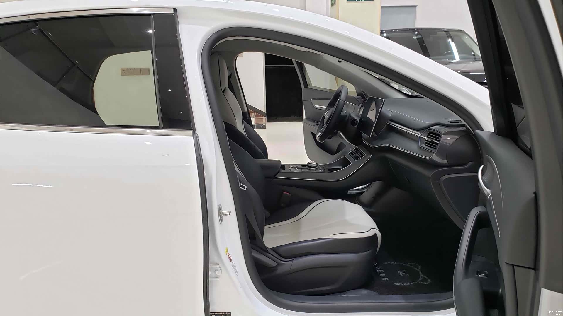 BYD Destroyer 05, 2024 8