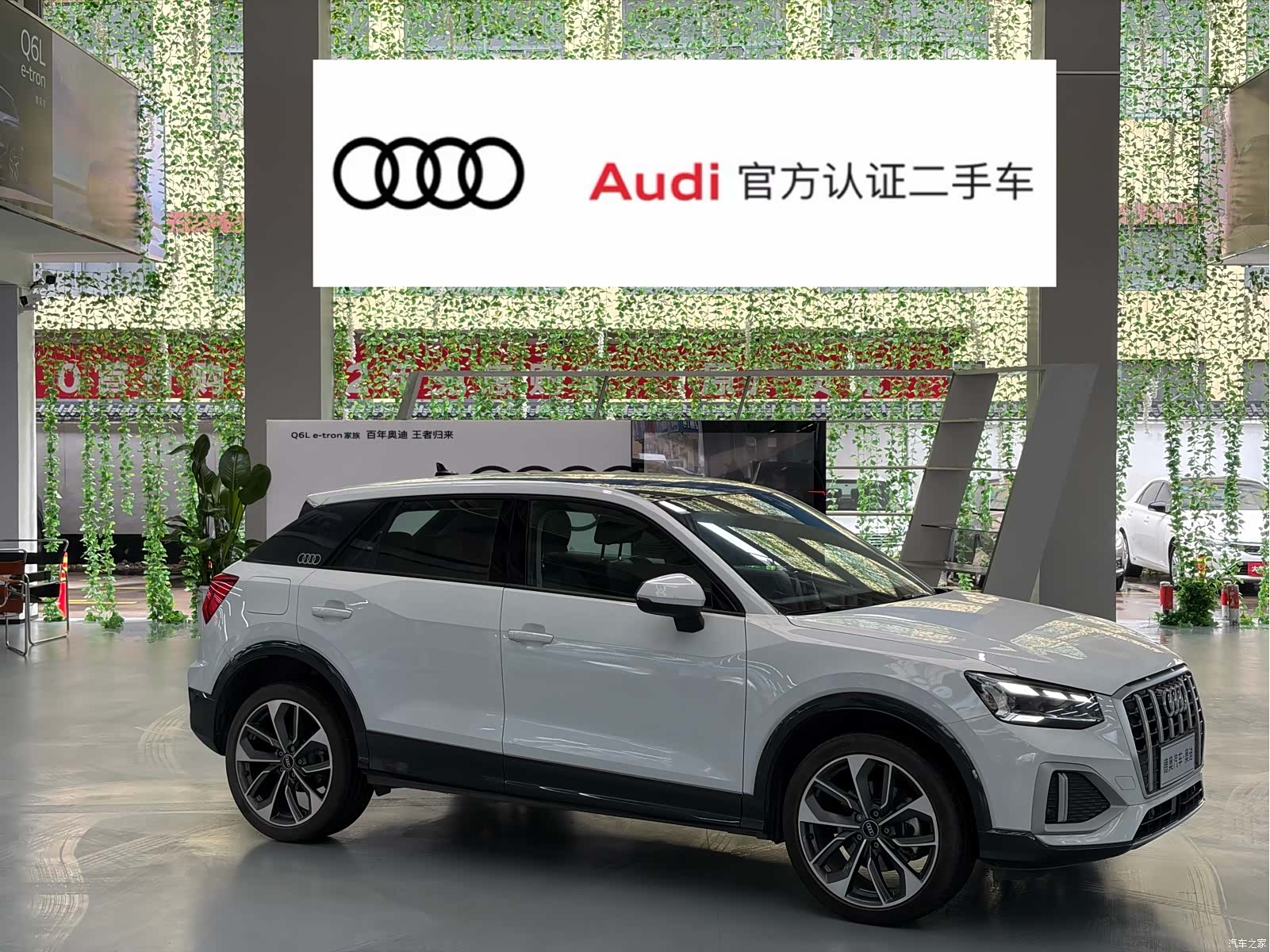 Audi Q2L, 2024 2