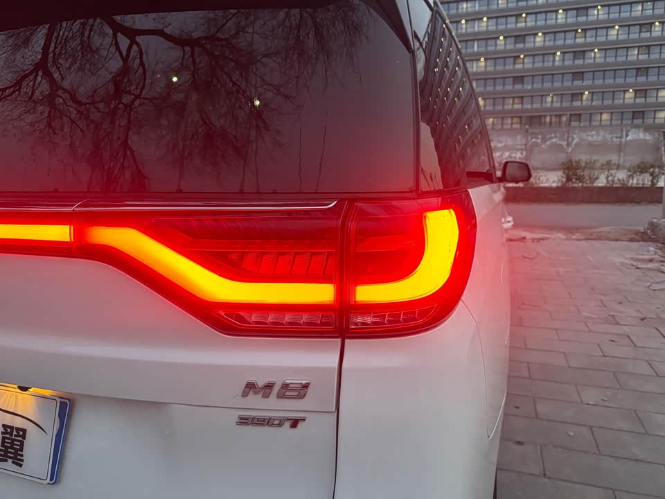 Trumpchi Trumpchi M8