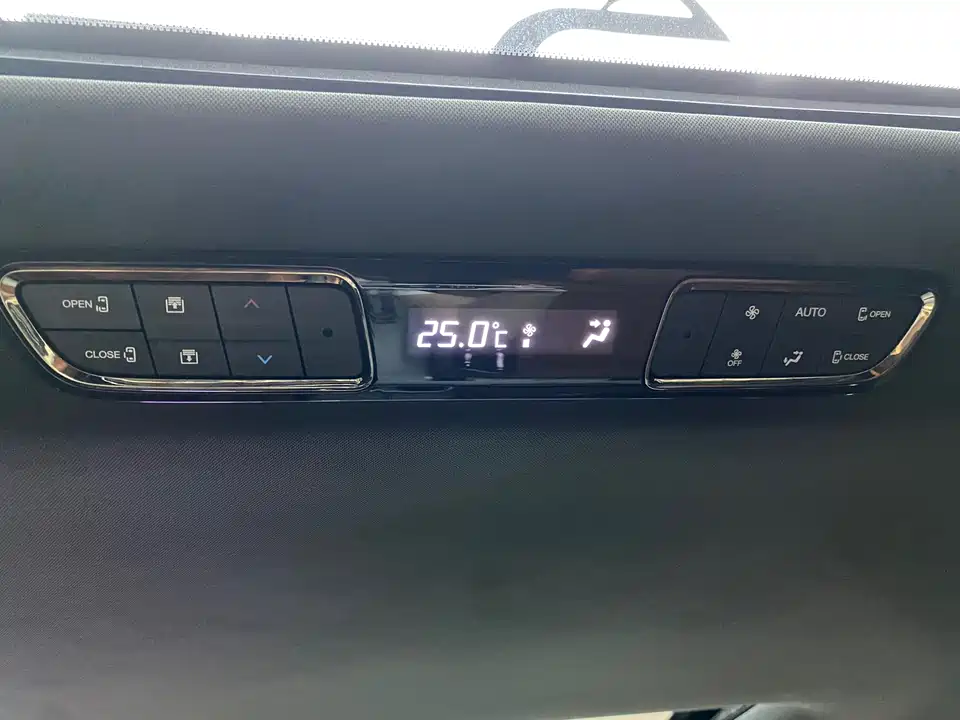 Trumpchi Trumpchi E9