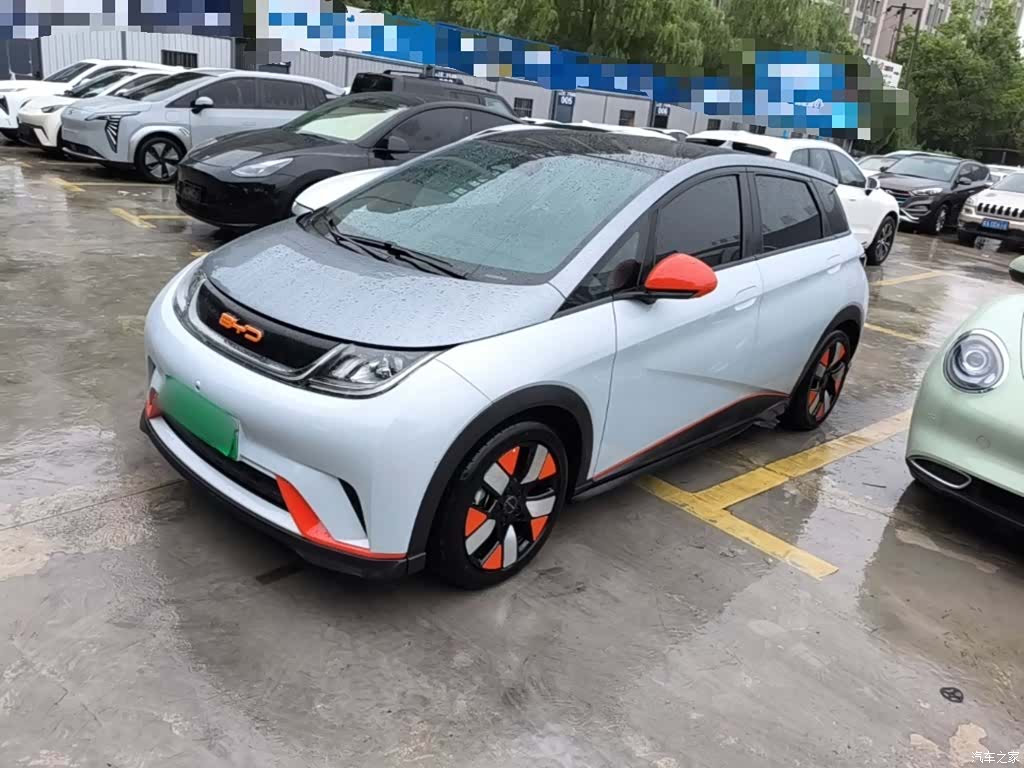BYD Dolphin, 2022 1