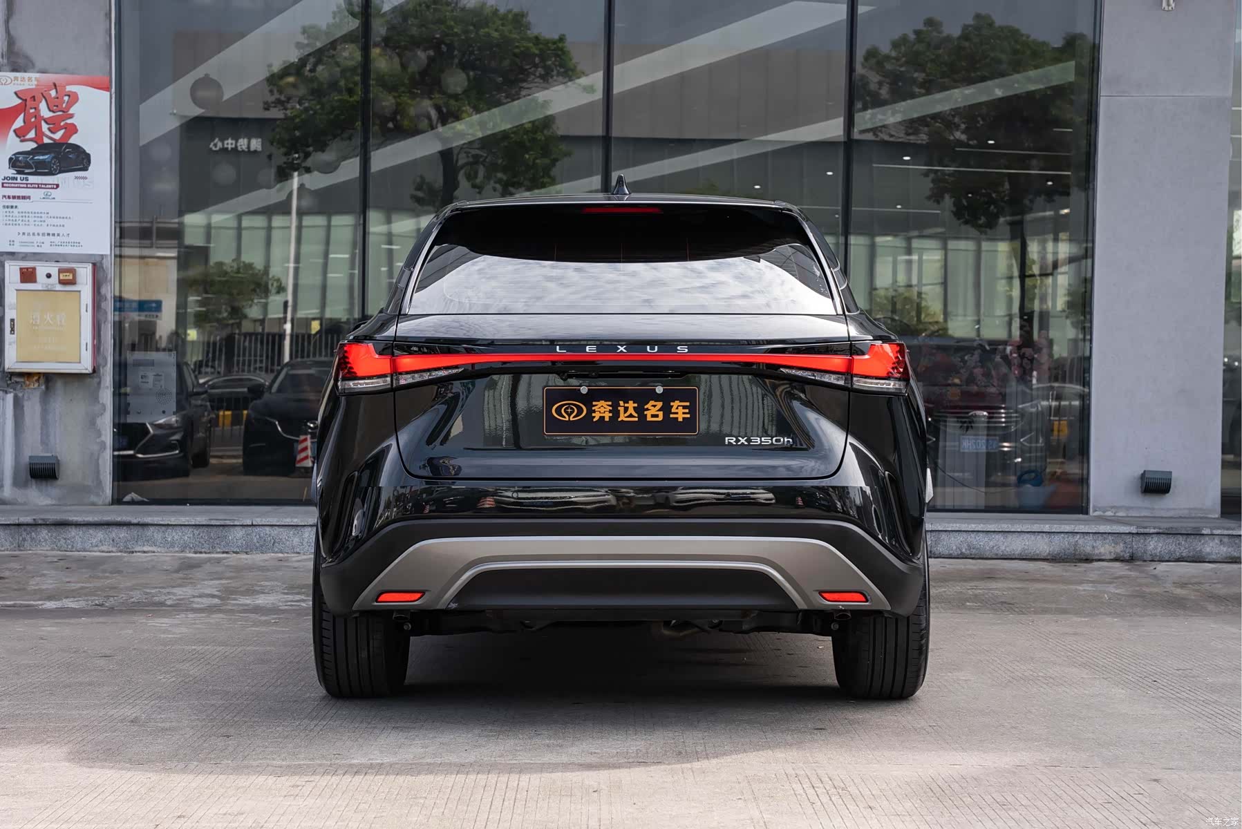 Lexus RX, 2023 все фото