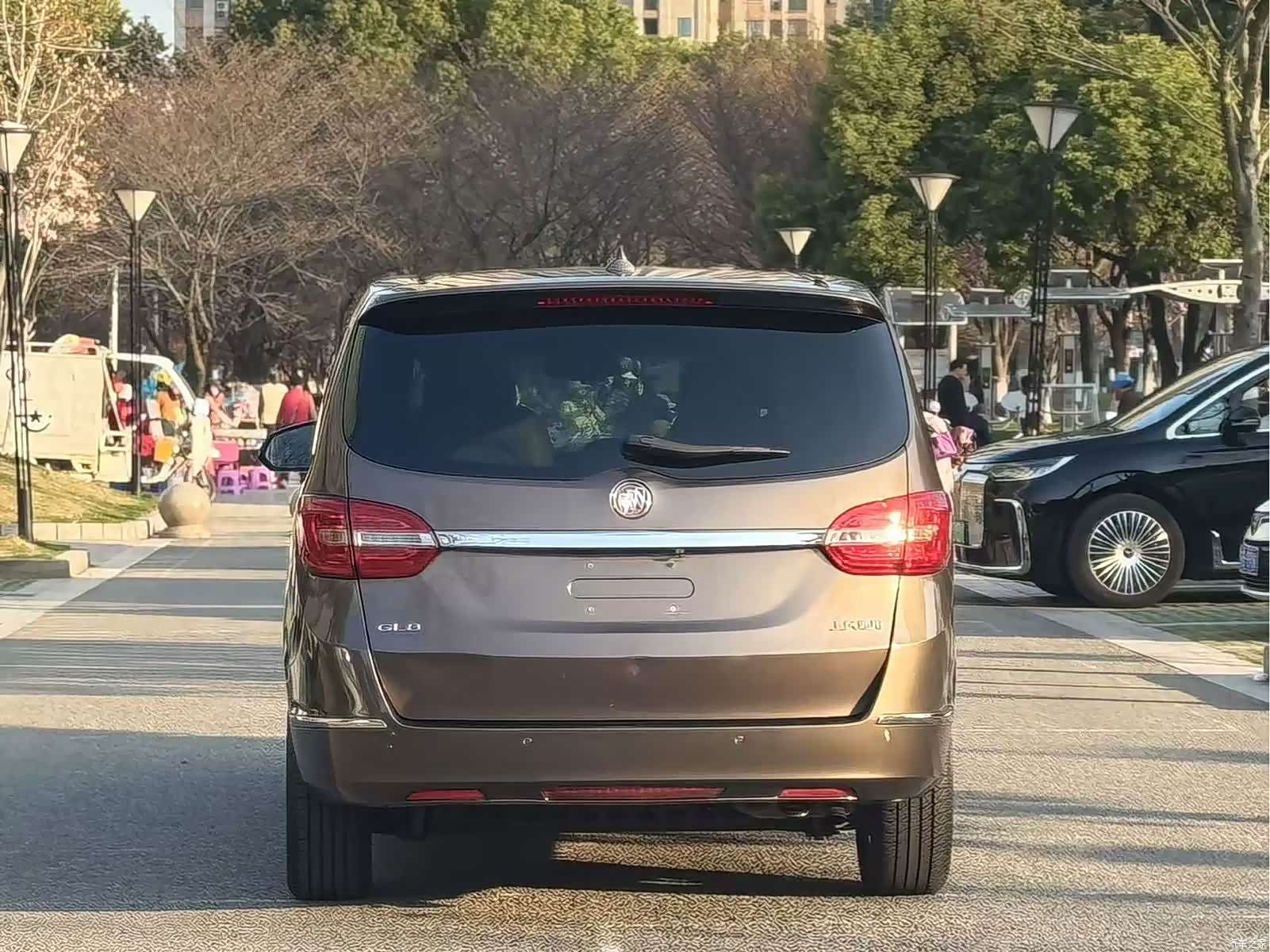 Buick GL8, 2016 7