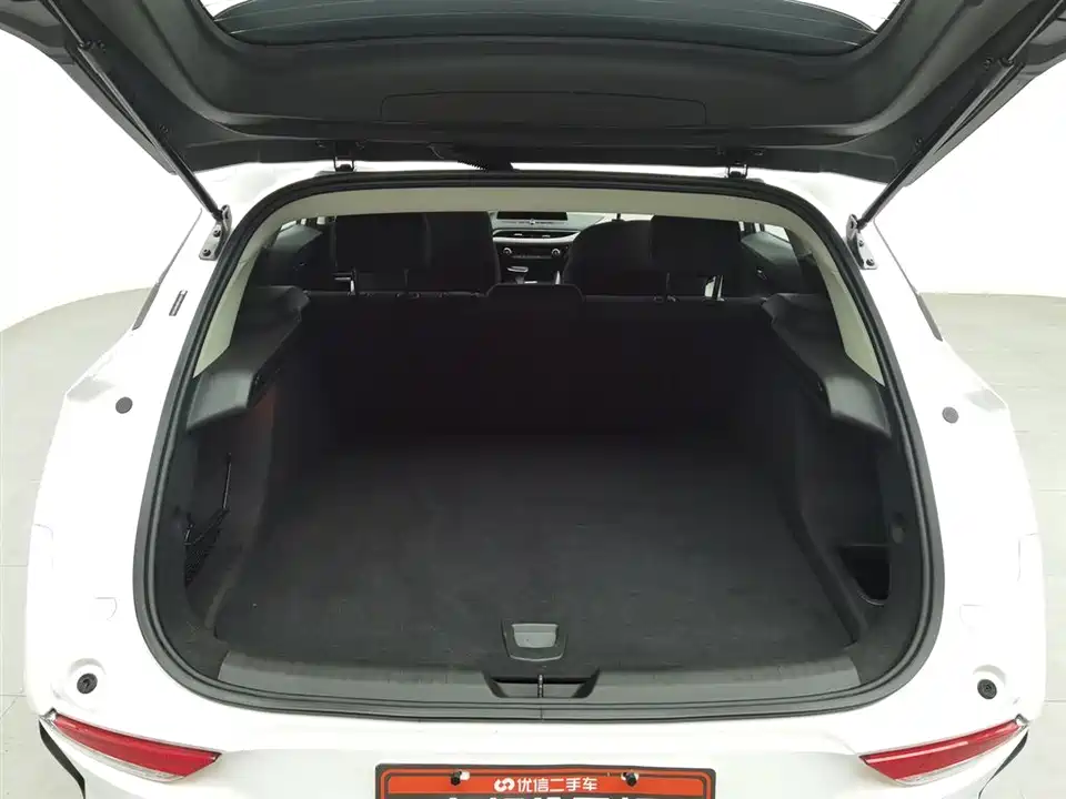 Buick Slightly blue 6