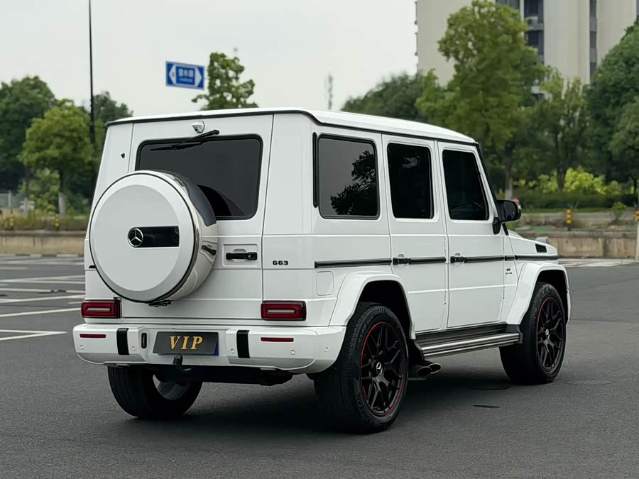 Mercedes-Benz G-Class 2017, фото 8