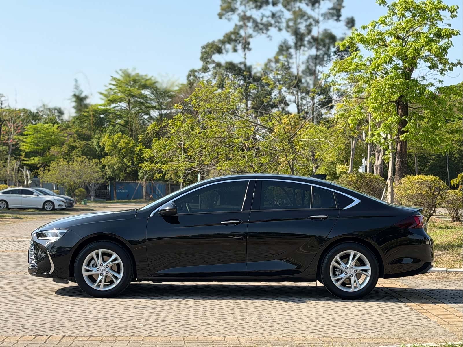 Buick Regal, 2024 все фото