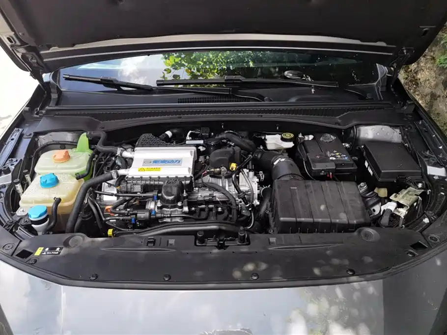 Trumpchi Shadow Leopard