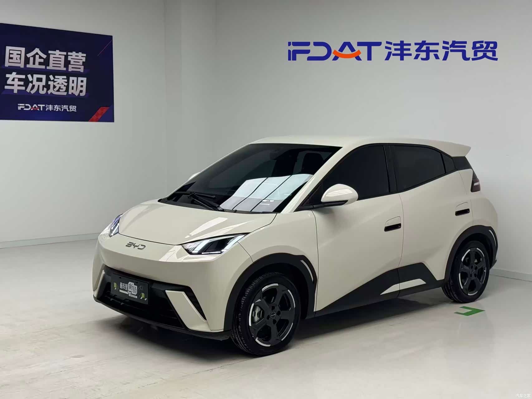 BYD Seagull, 2023 1