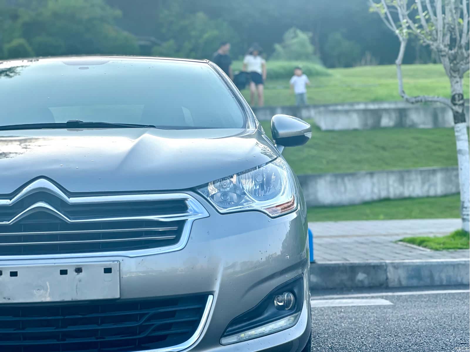 Citroen C4, 2015 10