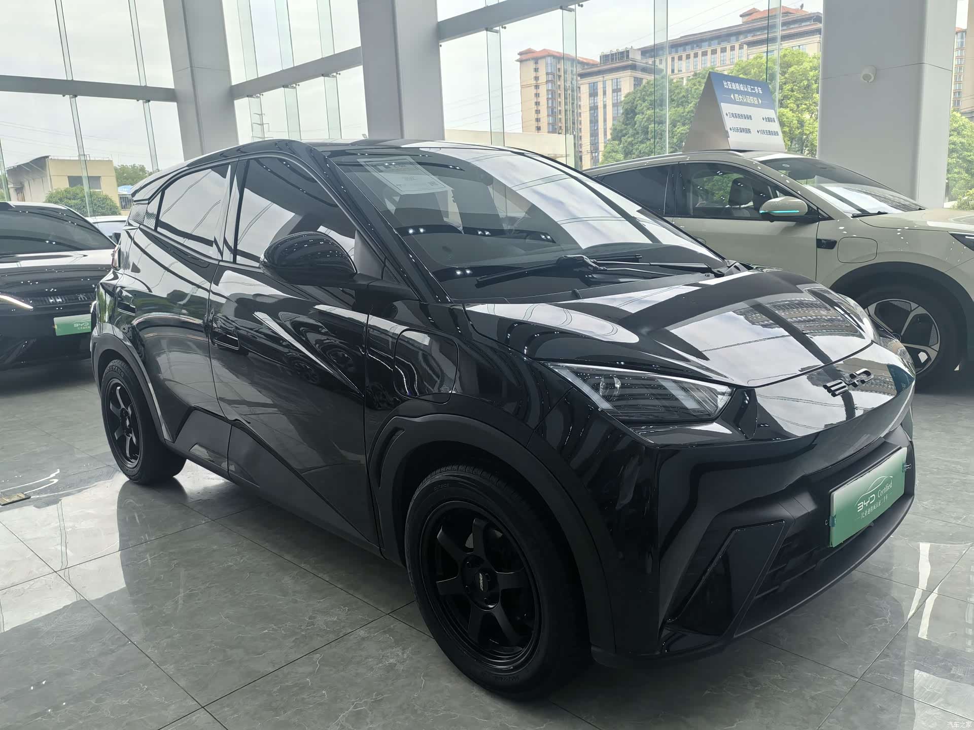 BYD Seagull, 2024 3