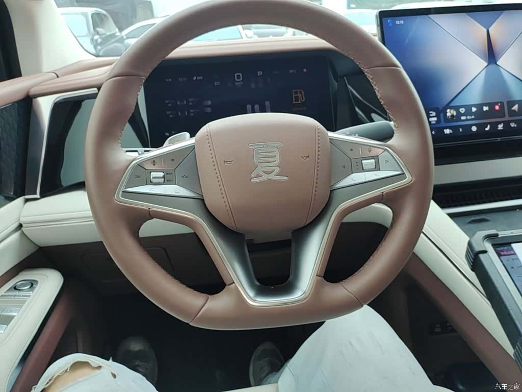 BYD Xia, 2025 11