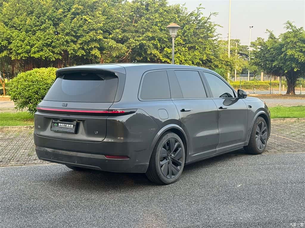 Li Auto L9, 2023 все фото