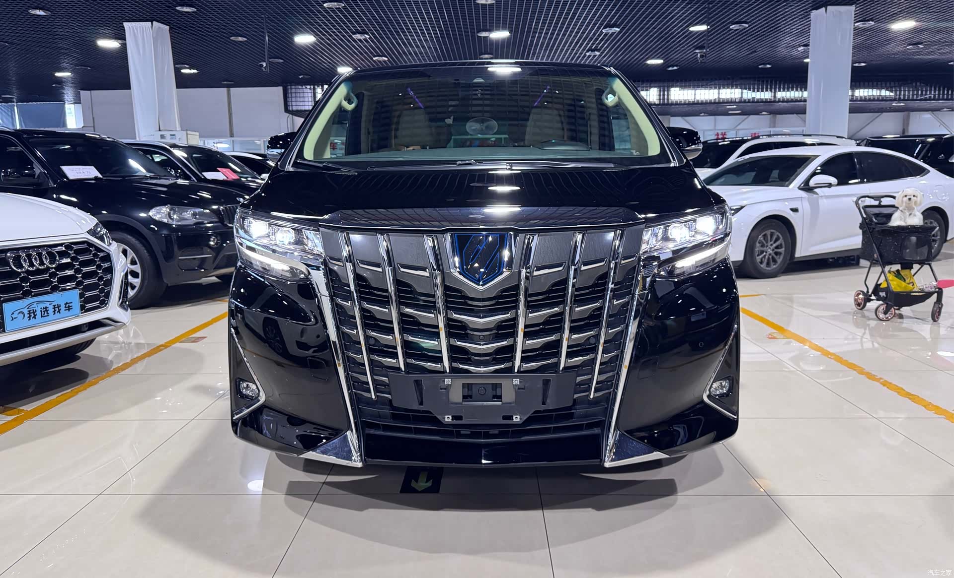 Toyota Alphard, 2022 2