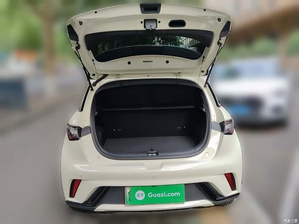 BYD Dolphin, 2025 10