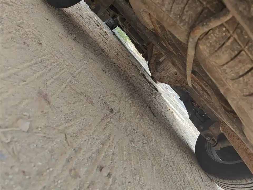 Forthing Lingzhi PLUS