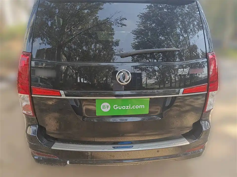 Forthing Lingzhi PLUS