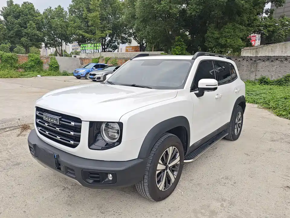 Haval Big dog
