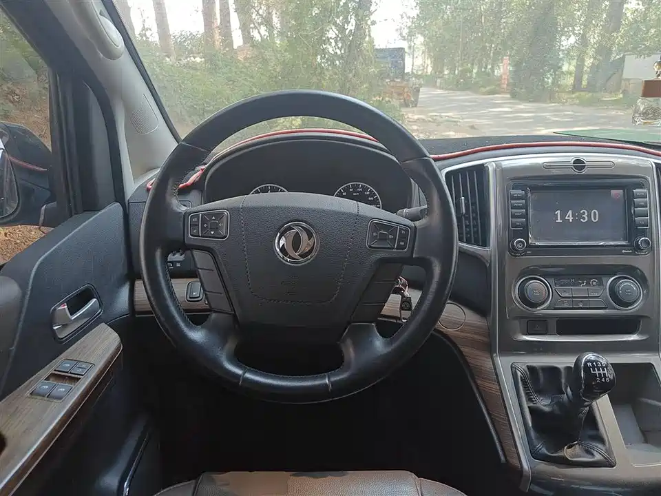 Forthing Lingzhi PLUS